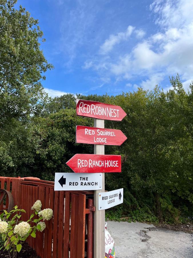 Sallys Cabin Kilcolgan ภายนอก รูปภาพ